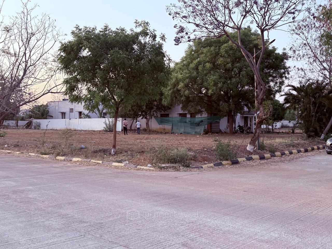 Side View