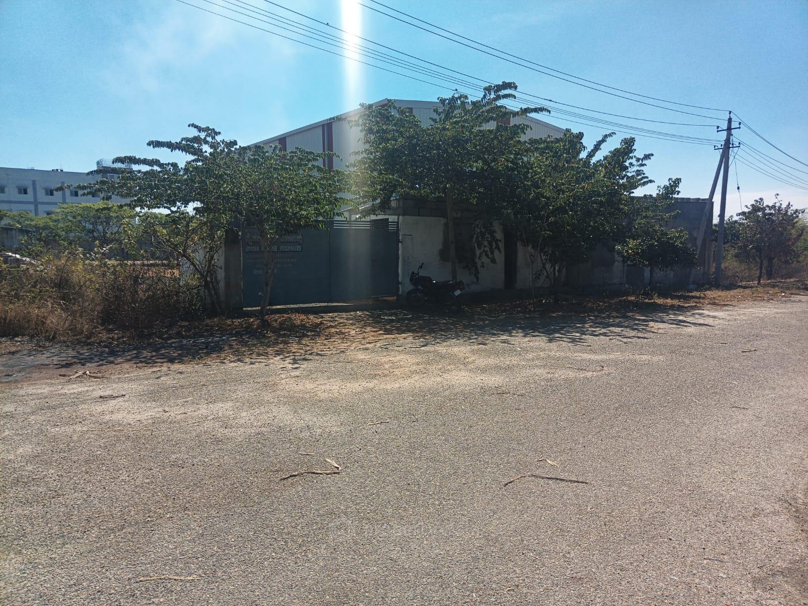 View from the Road