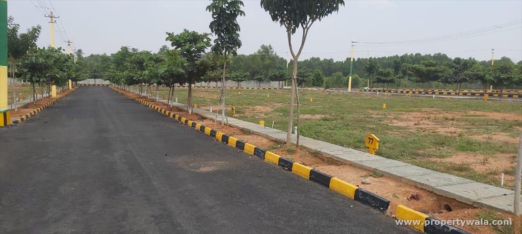 plot view