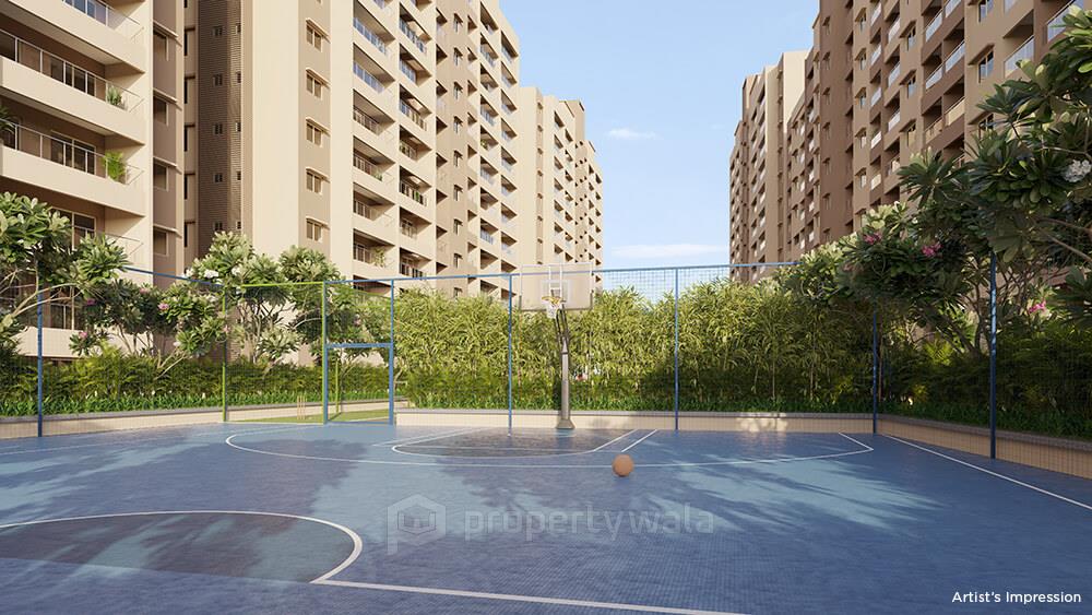 Project - Basket Ball Court