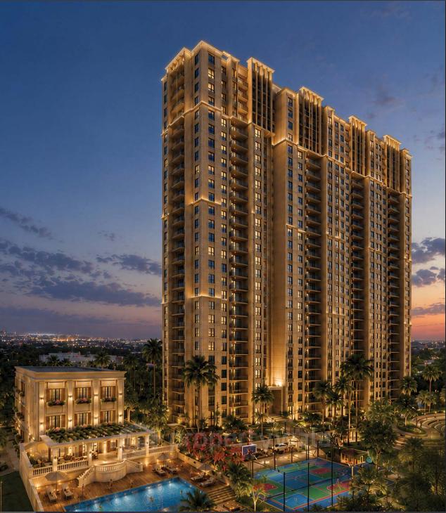 Night View