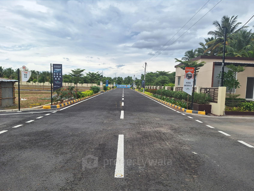 Internal Road View