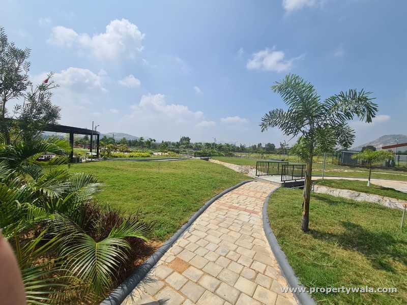 Open Land