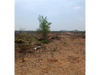 Residential Plot / Land for sale in Peddamberpet, Hyderabad
