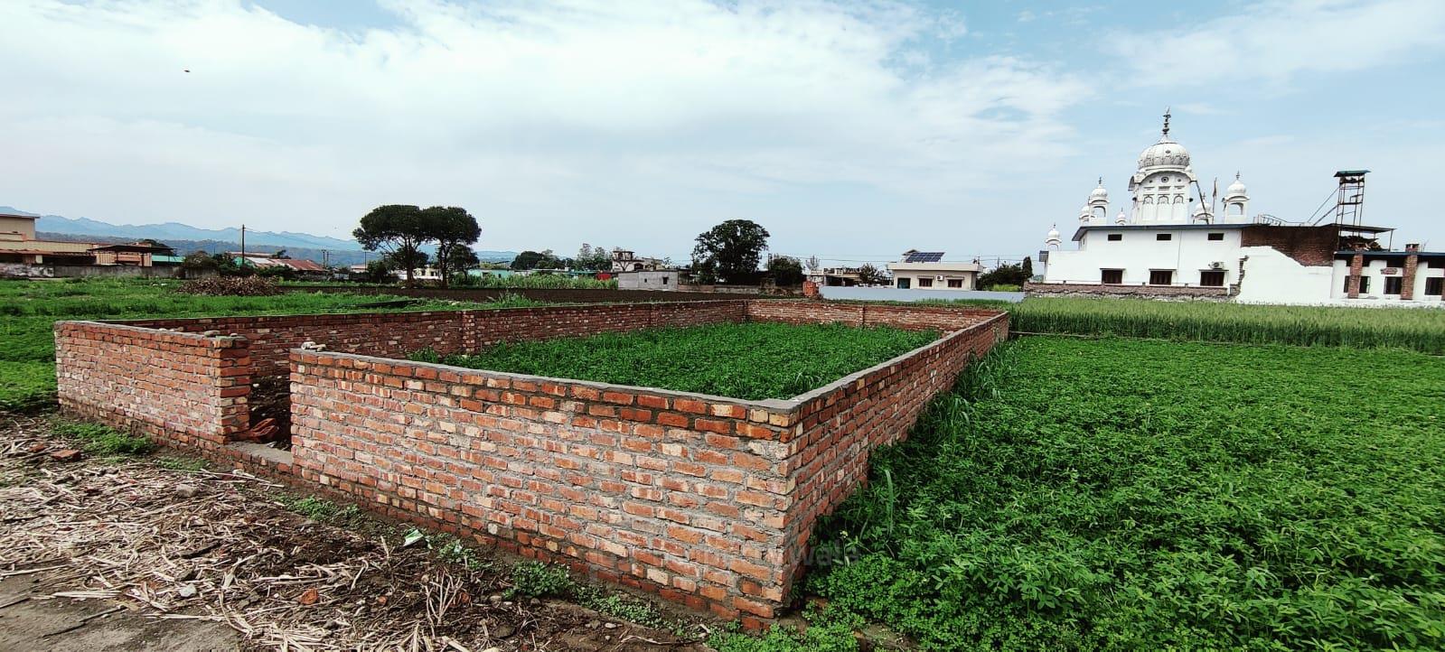 Side View