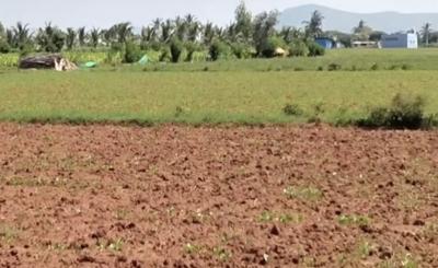 Agricultural Land for sale in Amrutahalli, Bangalore