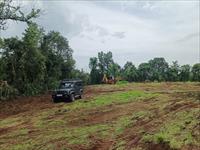 Agricultural Plot / Land for sale in Mangaon, Raigad