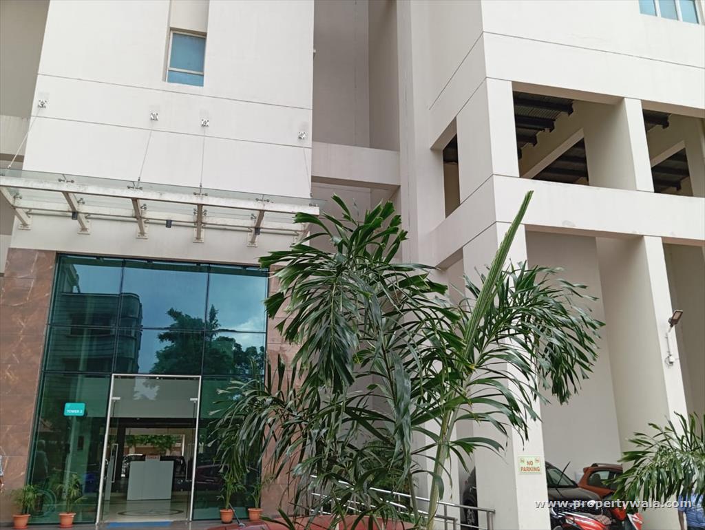Front View