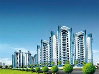 4 Bedroom Flat for sale in Amrapali Verona Heights, Noida Extension, Greater Noida