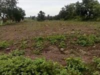 Agricultural Plot / Land for sale in Shamshabad, Hyderabad