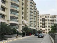4BHK Apartment in Ambience Caitriona, Gurgaon