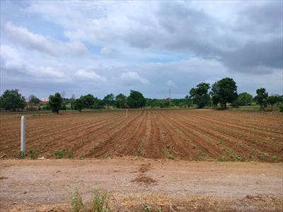 Agricultural Land for sale in Chevella, Ranga Reddy