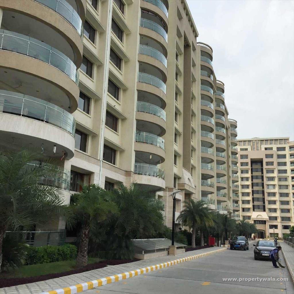 5 Bedroom Apartment / Flat for rent in Ambience Caitriona, DLF City Phase III, Gurgaon