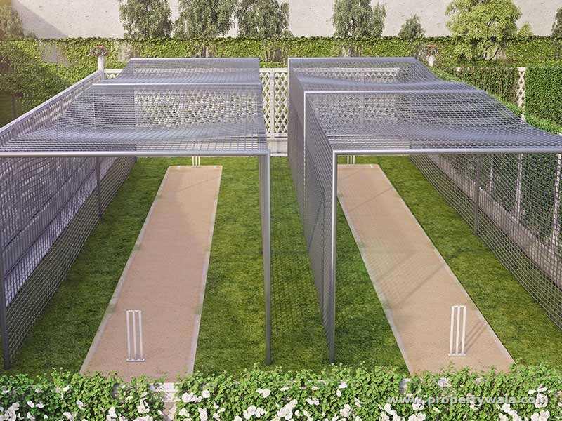 Cricket Pitch