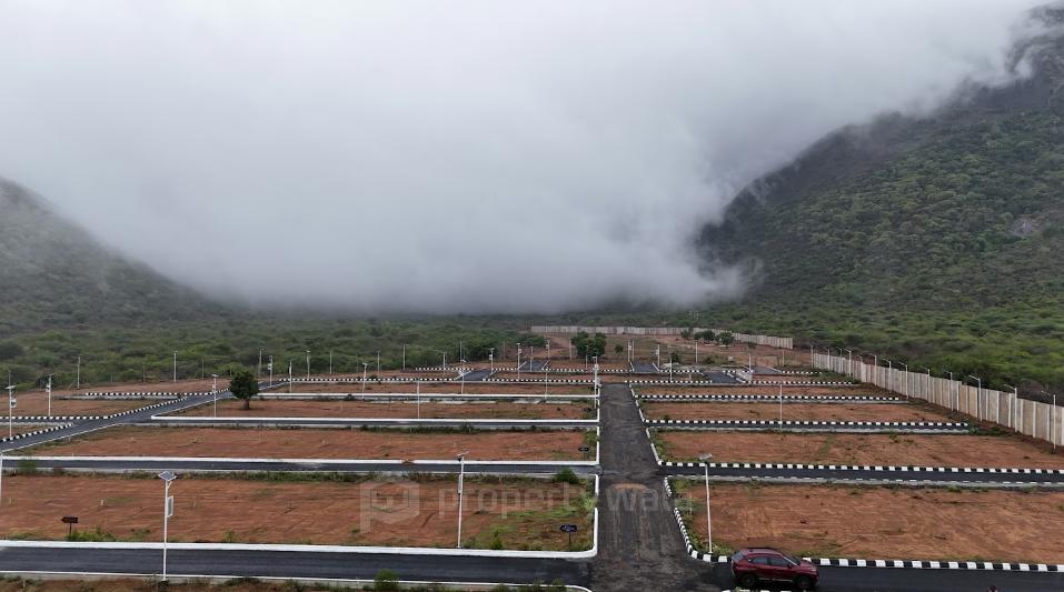Plot View