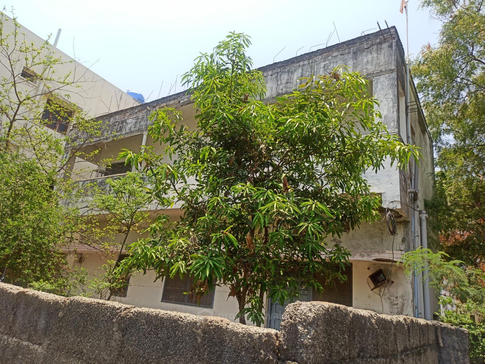 Front View