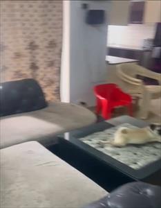 Apartment for sale in Crossing Republik, Ghaziabad