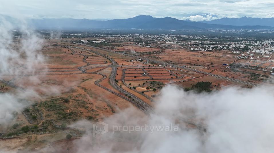 Drone View