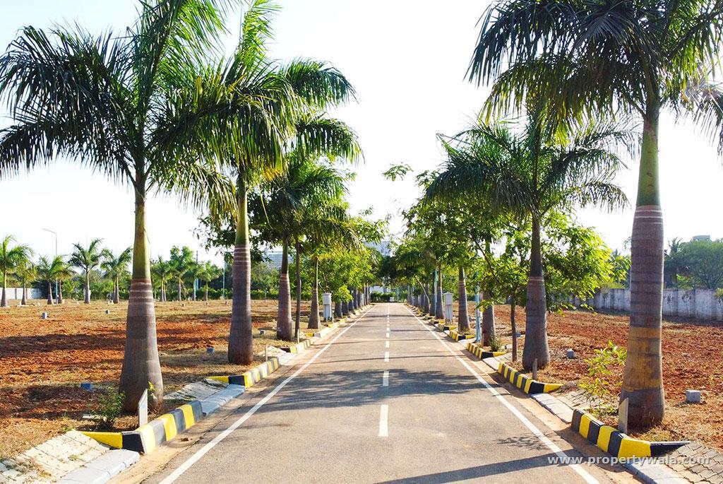 Road View