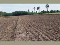 Agricultural Plot / Land for sale in Achurapakkam, Chennai