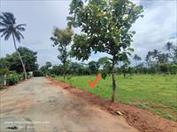 BEAUTIFUL FARM SITE FOR SALE IN ETTIMADAI WITH LOVELY BACKDROP OF WESTERN GHATS
