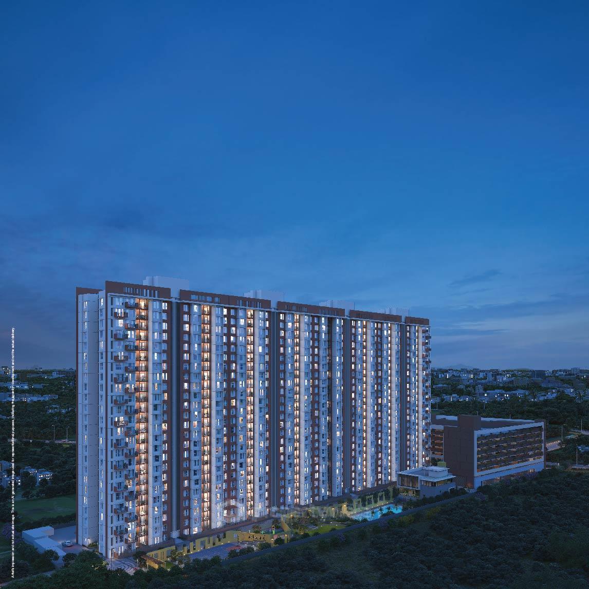 Night View