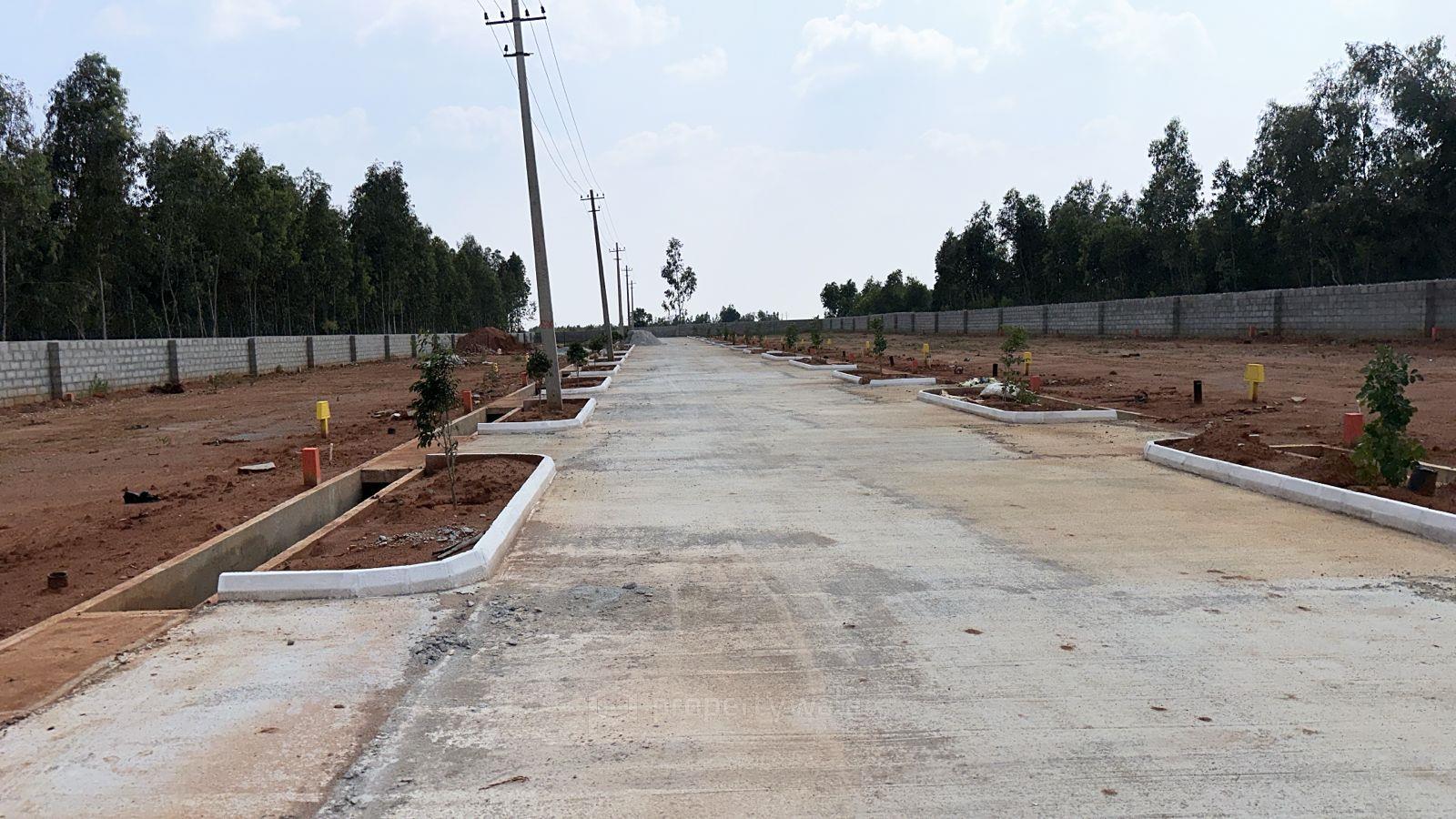 plot view