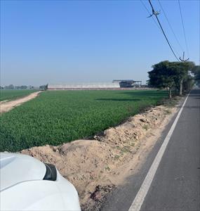 Farm House for sale in Sohna Road area, Gurgaon
