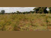 Agricultural Plot / Land for sale in Mangaon, Raigad