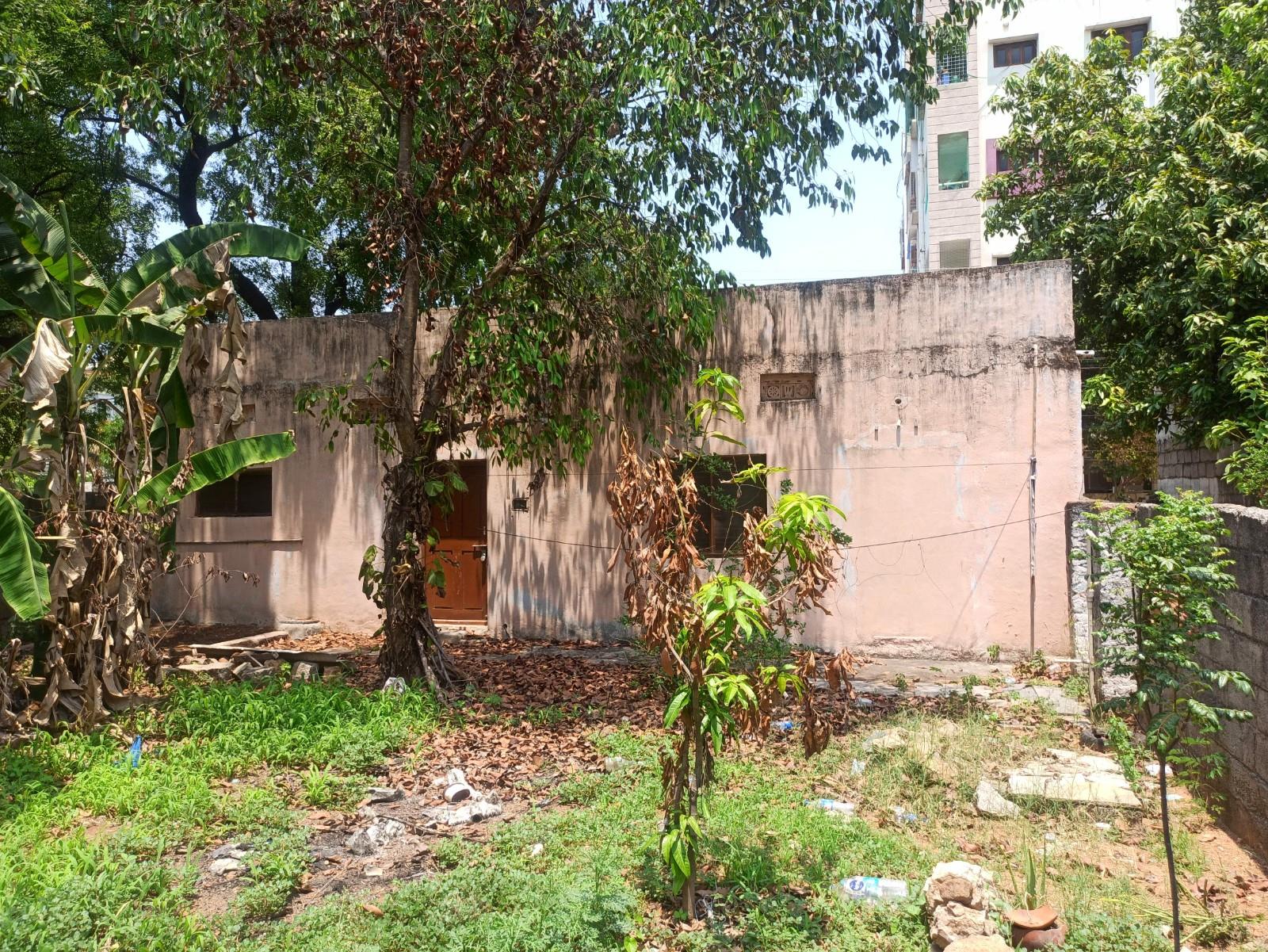 Front View