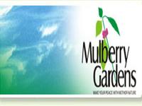 Mulberry Gardens Magarpatta City