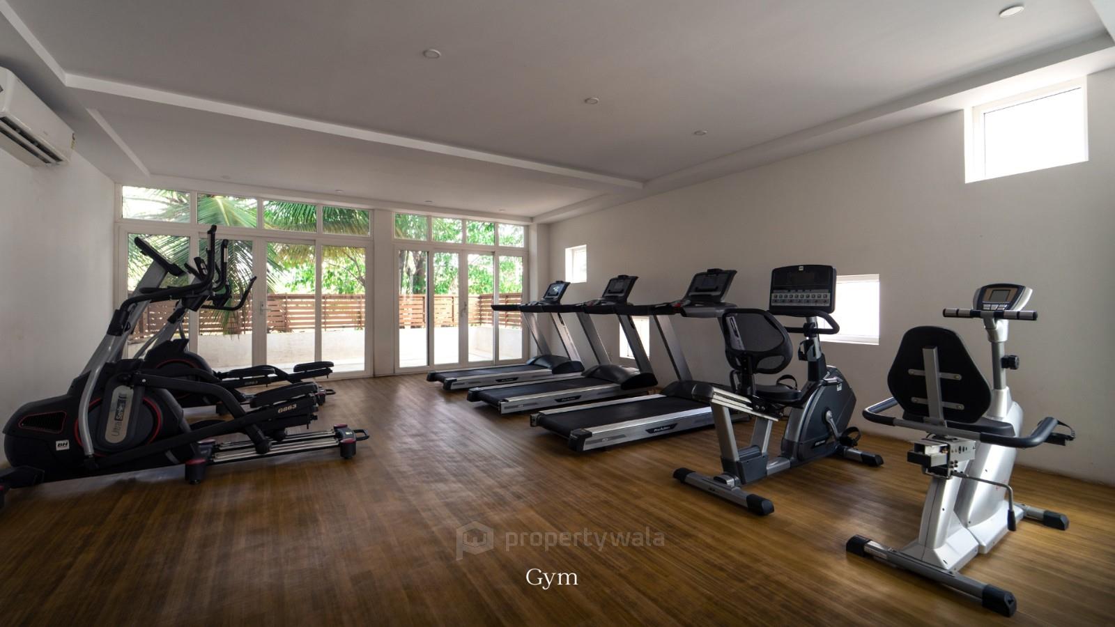 Gymnasium