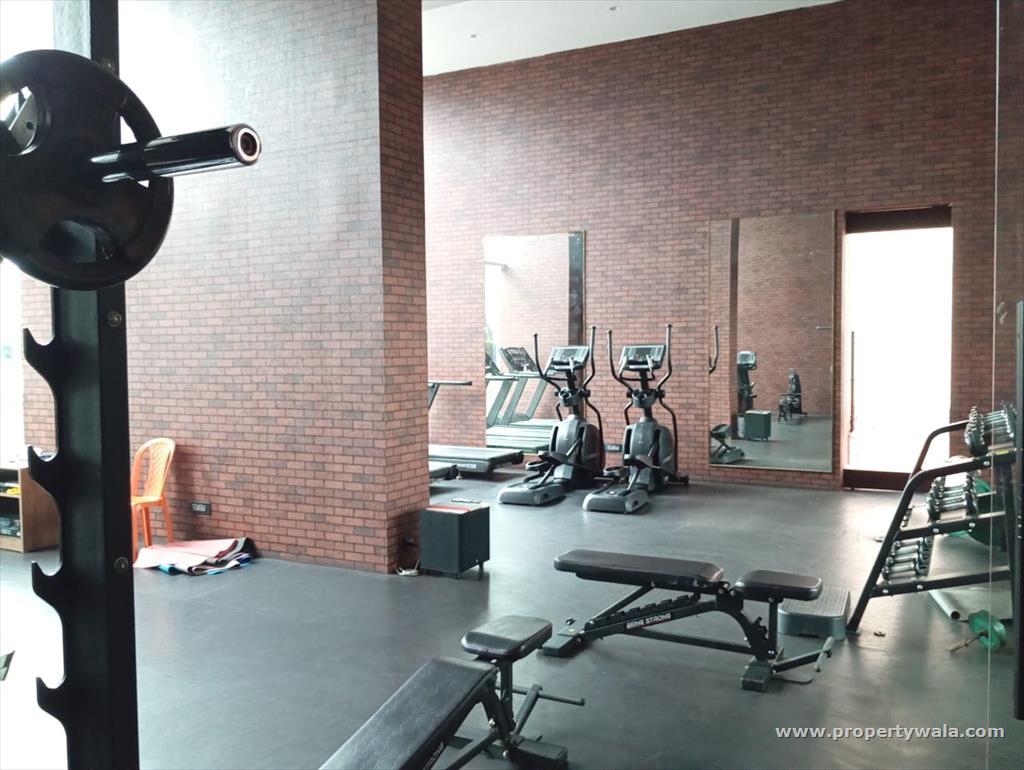Gymnasium