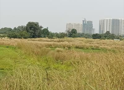 Residential Land for sale in Palaspa, Navi Mumbai