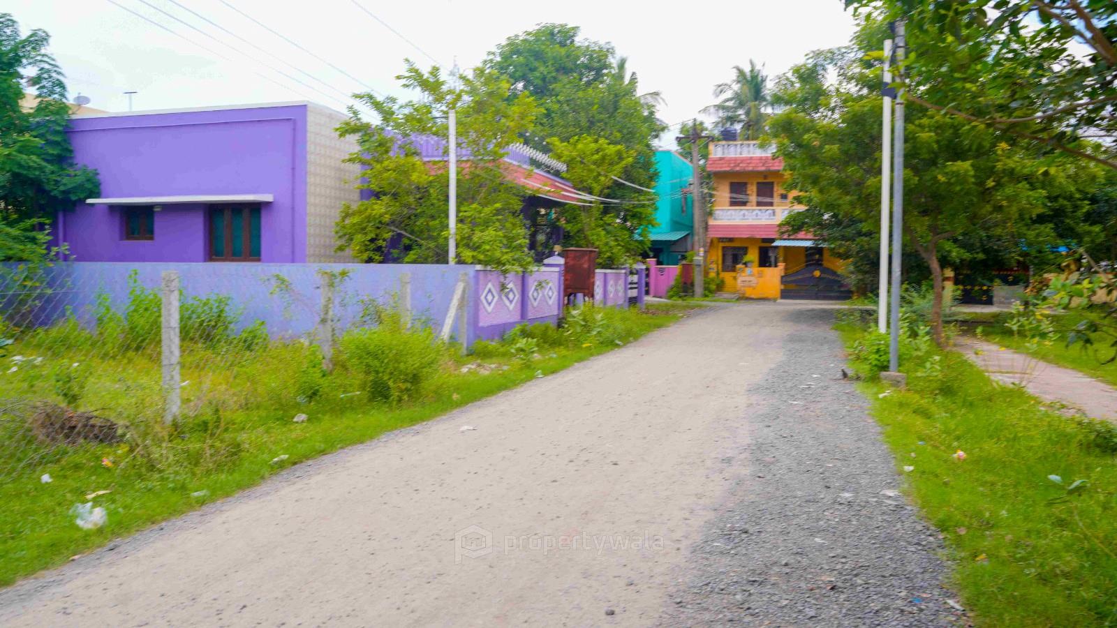 Plot Photo
