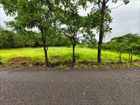 Agricultural Plot / Land for sale in Mangaon, Raigad