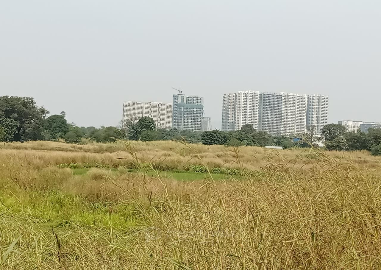 Panvel Plot