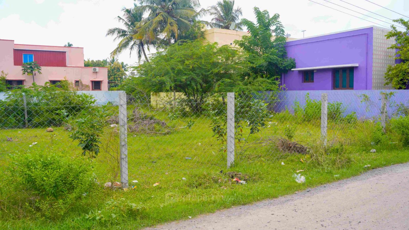 Plot Photo
