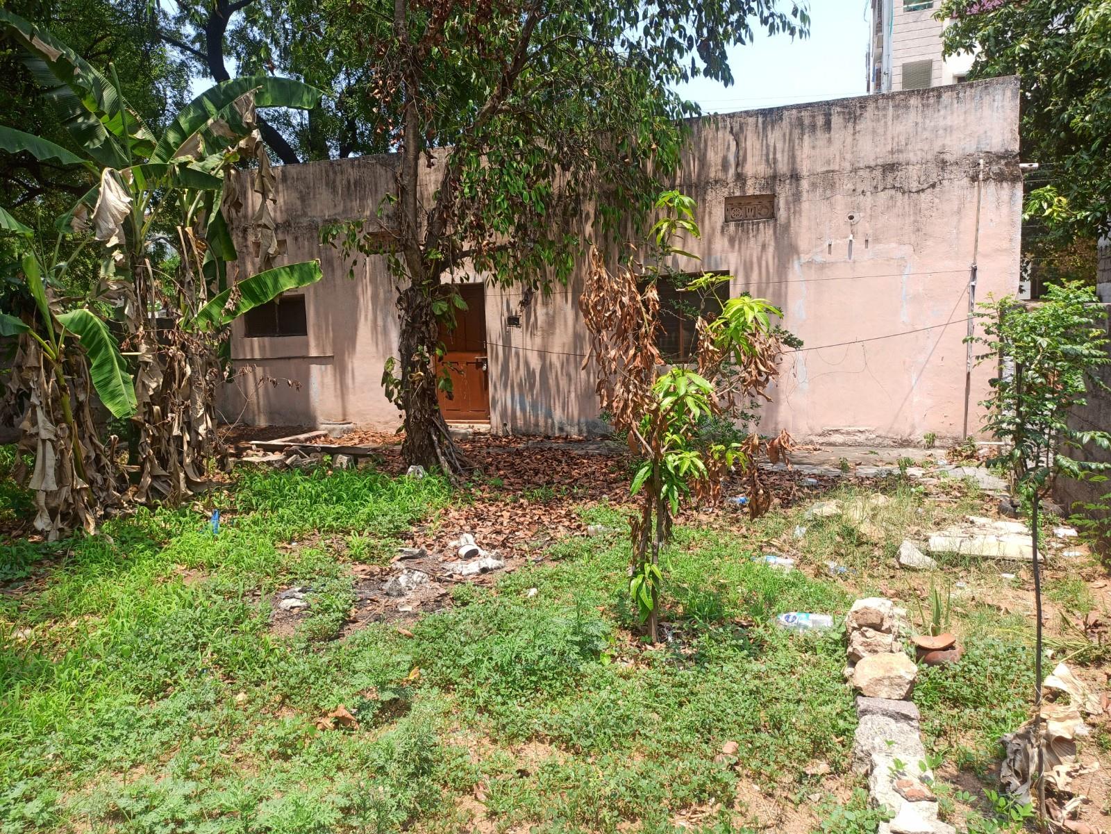 Front View