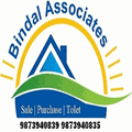 Bindal Associates