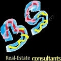 BS Real Estate Consultancy