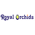 Royal Orchids