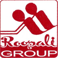 Roopali Promoter & Construction Co.