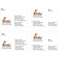 Bindu Properties
