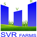 SVR GROUP DEVELOPERS AND BUILDERS