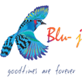 Blue Jay Projects and Constructions