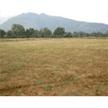 Green Land Shelters Pvt.Ltd