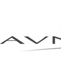 AVN Ventures Pvt Ltd